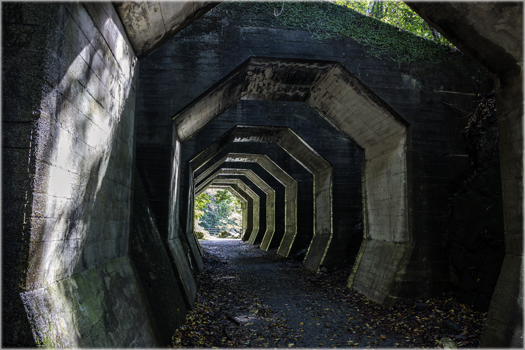 秋の八角トンネル2