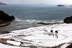 雪の棚田