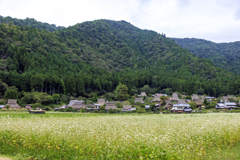 美山の秋1