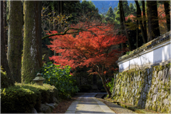 晩秋の古刹