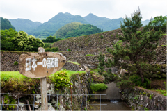 初夏の棚田