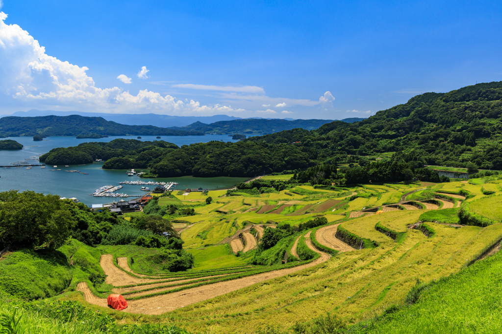 真夏の棚田巡り11