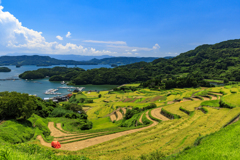 真夏の棚田巡り11