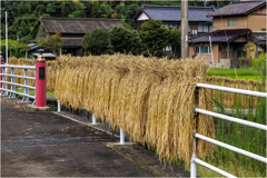 こんなところに…