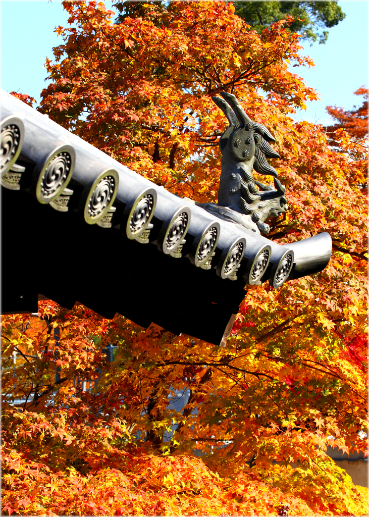 紅葉と鬼瓦