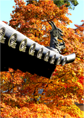 紅葉と鬼瓦