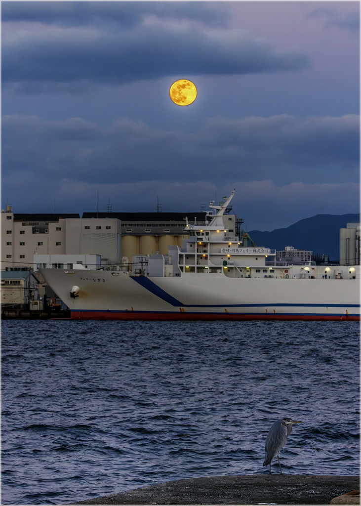 満月とアオサギ