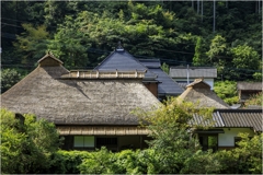 茅葺の屋根