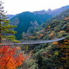 紅葉と吊り橋