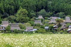 美山の秋