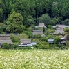 美山の秋