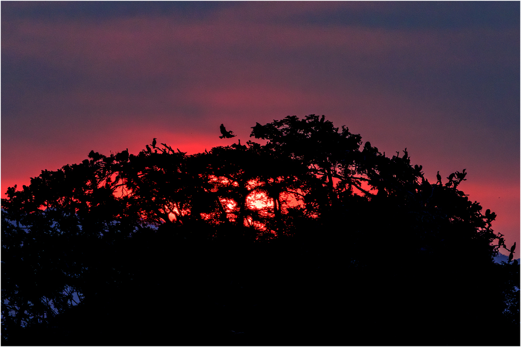 夕暮れ時