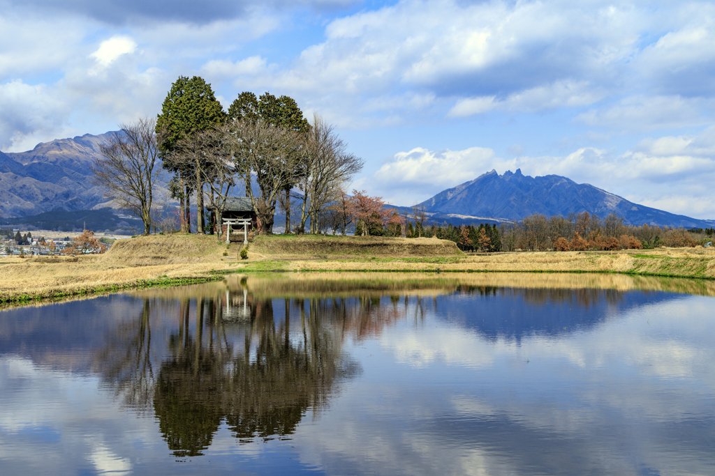 水が入った田んぼ