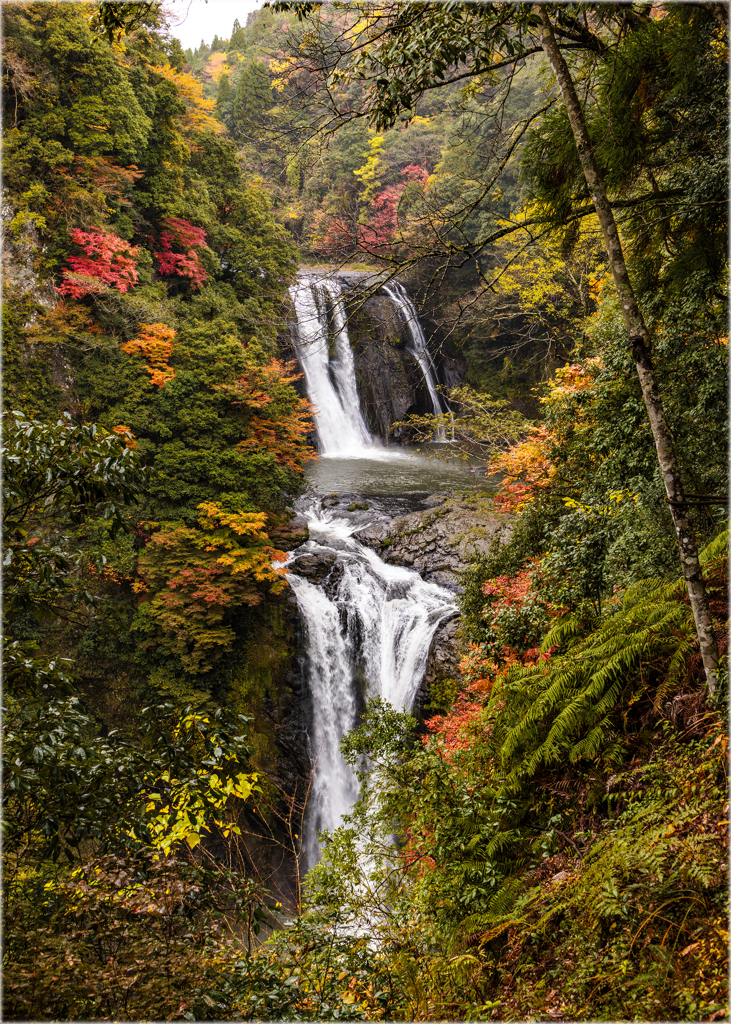 秋彩の鵜の子滝