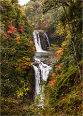 秋彩の鵜の子滝