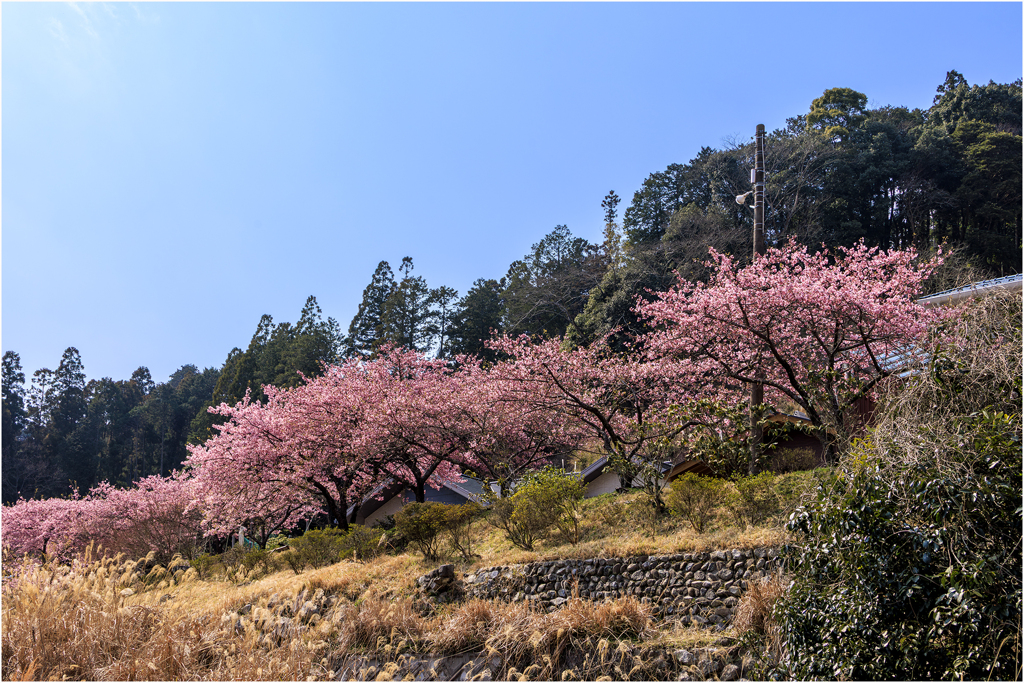 通りすがりの風景3