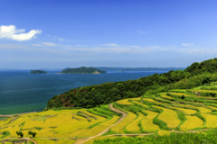真夏の棚田巡り3