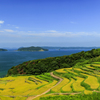 真夏の棚田巡り3