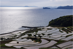 田植えの頃2
