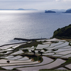 田植えの頃2