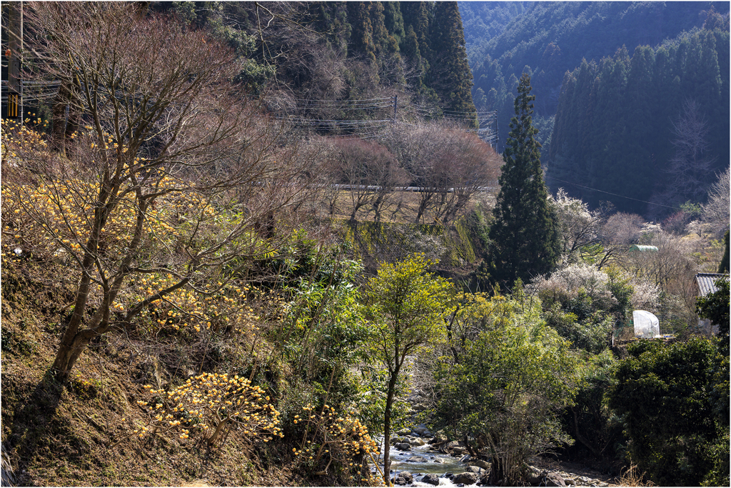 通りすがりの風景2
