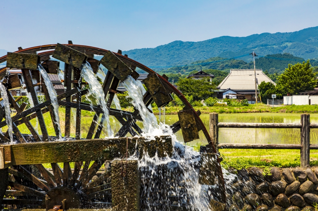 朝倉の三連水車2
