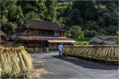 秋の里山2