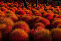 秋めく日々2 秋めく日々2