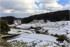 雪の日の棚田2