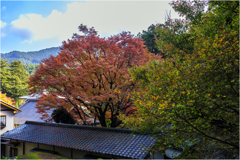 紅葉狩り