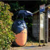 通りすがりに見つけた風景
