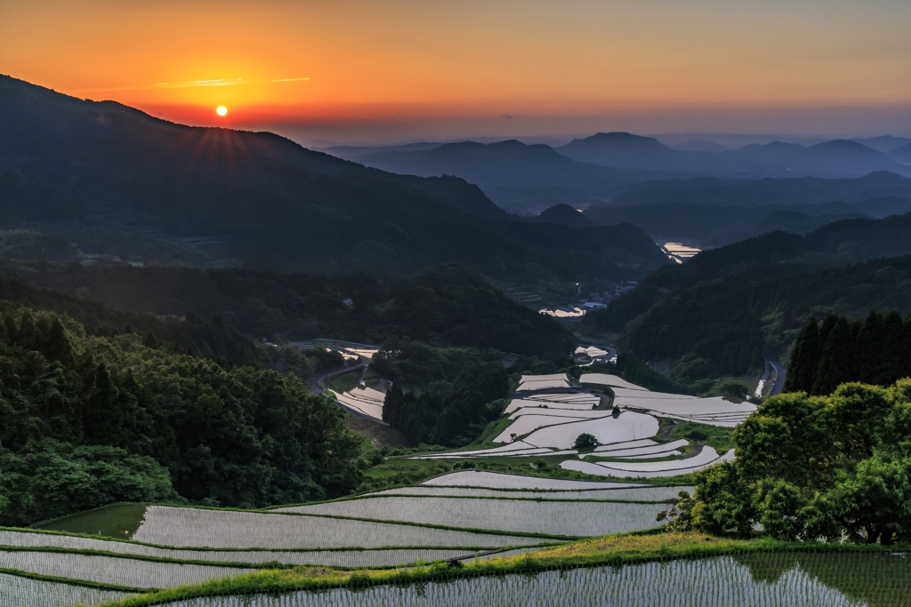 夕暮れの棚田