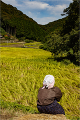 案山子さん3