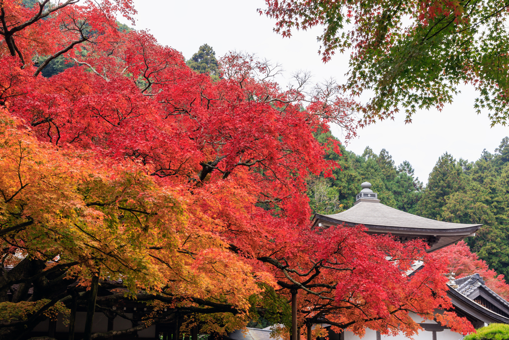 雷山千如寺大悲王院