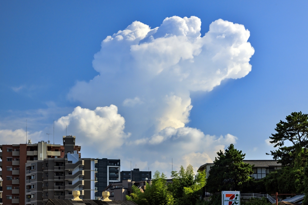 近所の風景
