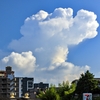 近所の風景