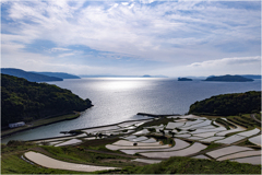田植えの頃