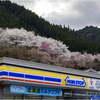 桜のある風景