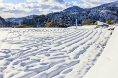 雪の田んぼ