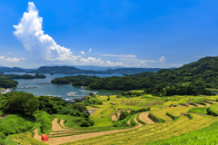 真夏の棚田巡り6
