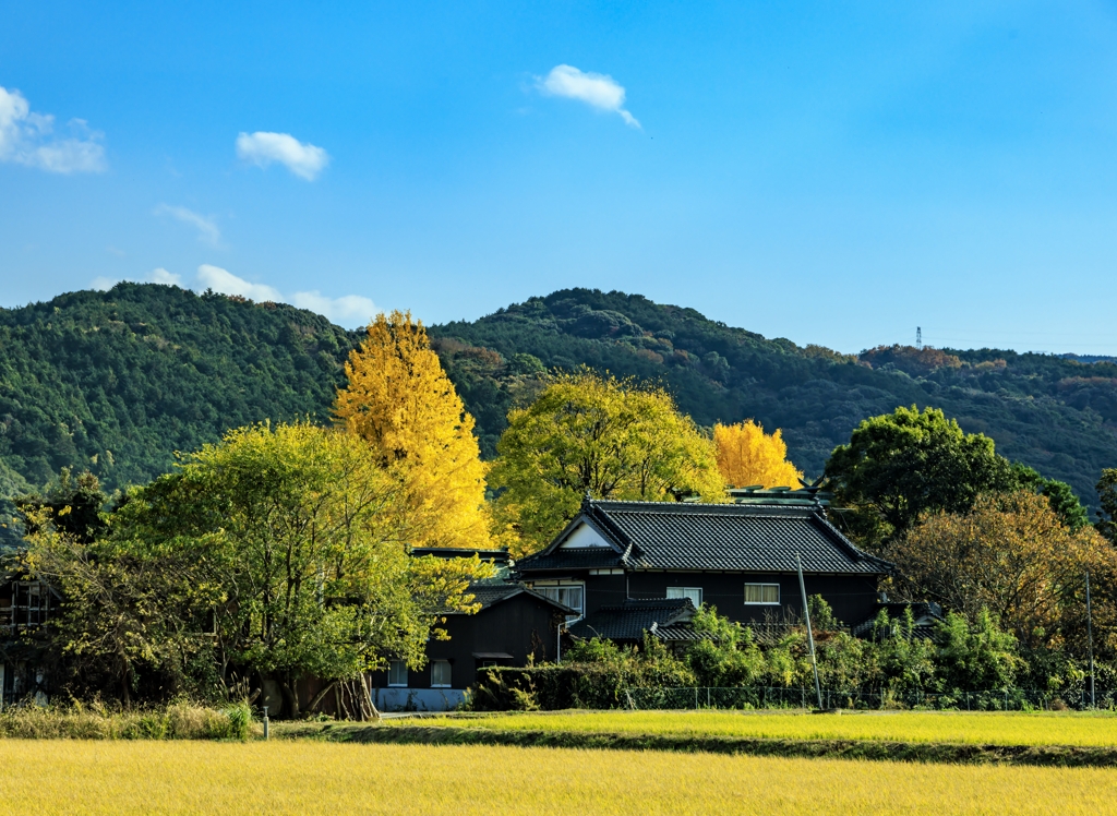 通りすがりの秋景色