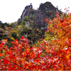 紅葉狩