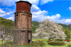 一本桜に魅せられて（給水塔と桜）2