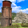 一本桜に魅せられて（給水塔と桜）2