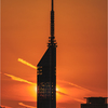 隠れた夕日