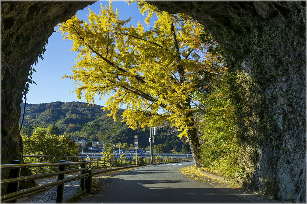 銀杏のある風景