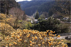 通りすがりの風景