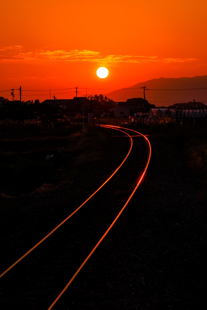 夕日に向かって