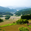 初夏の棚田3