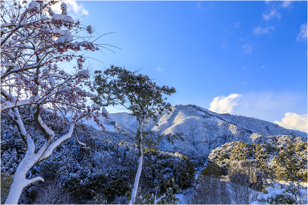 九州の雪景色